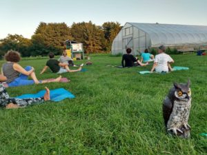 People doing yoga on a lawn with Hootie the owl