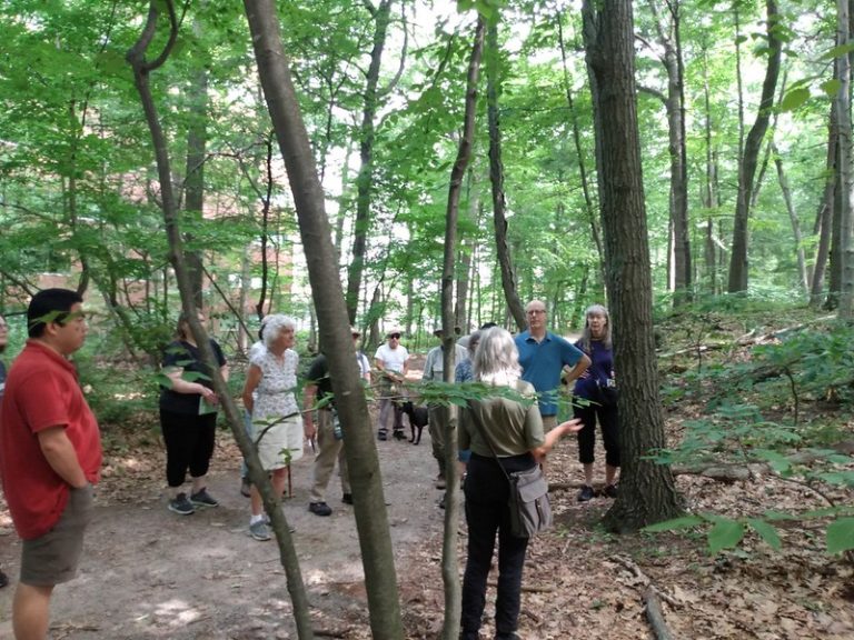 Prospect Hill Park Plant Communities Walk, July 16, 2022 Waltham Land
