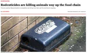 Rodenticides are killing animals way up the food chain