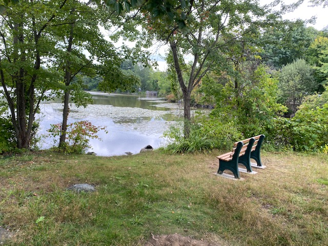 Bench at Lakeview Preserve