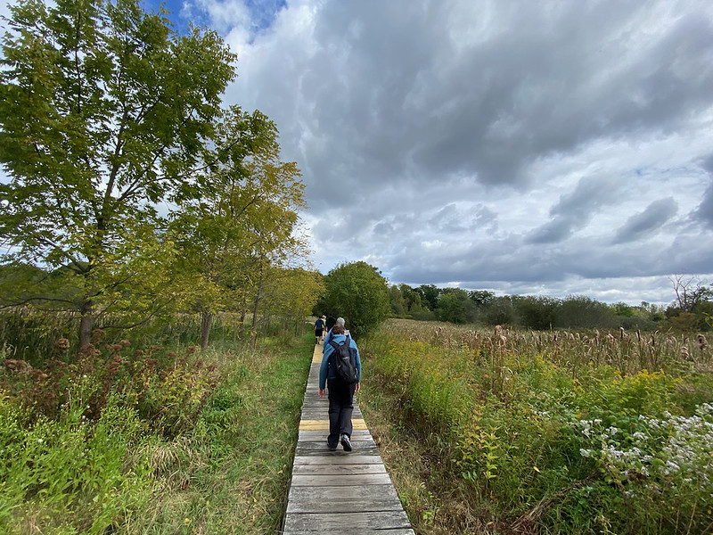 People walk on a boardwalk with trees and grass around.