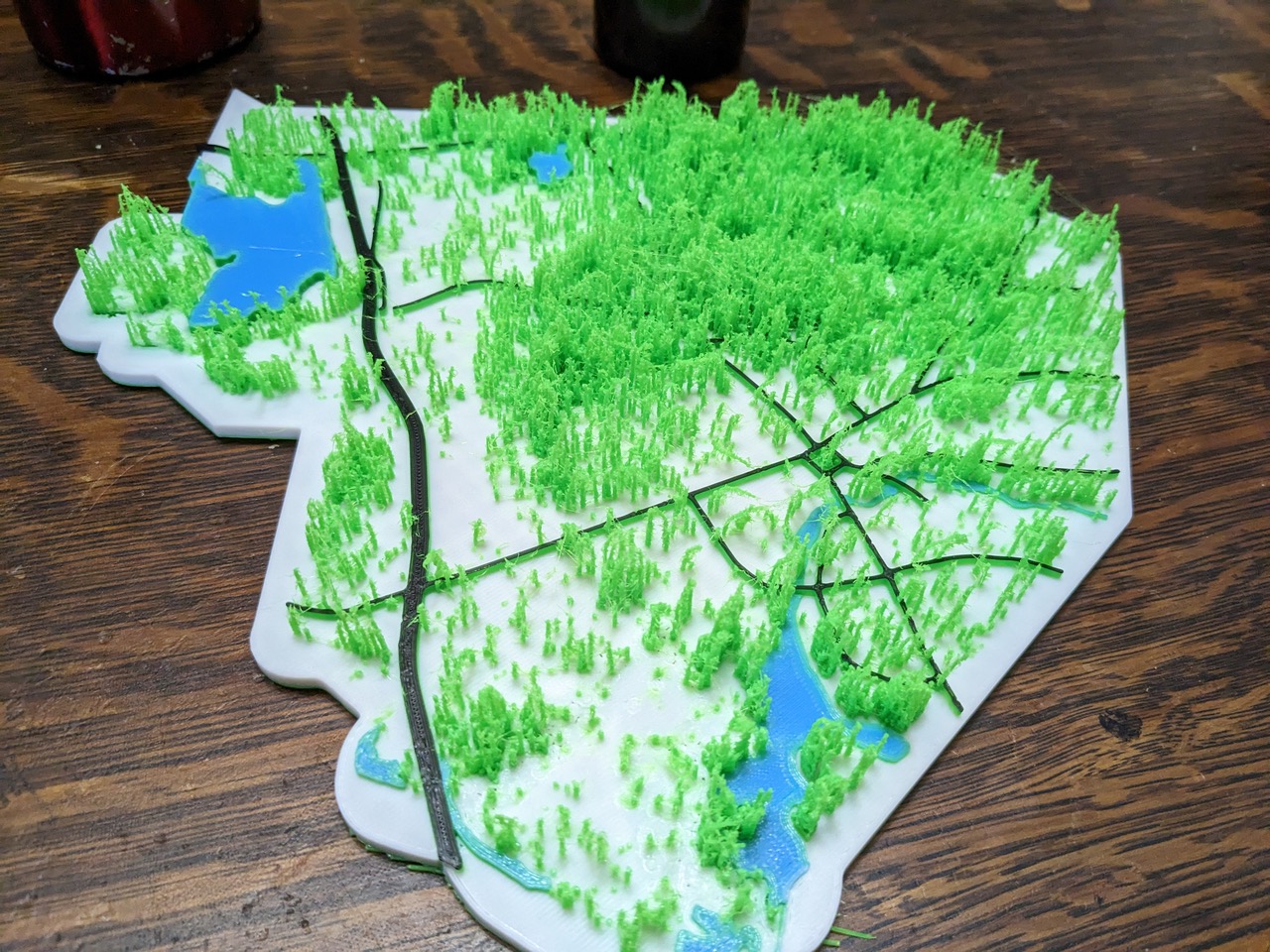 3D print of Waltham