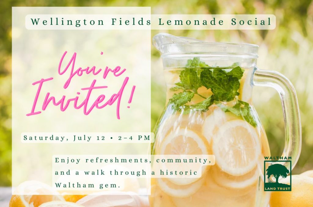 Wellington Fields Lemonade Social
