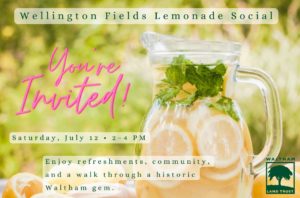 Wellington Fields Lemonade Social