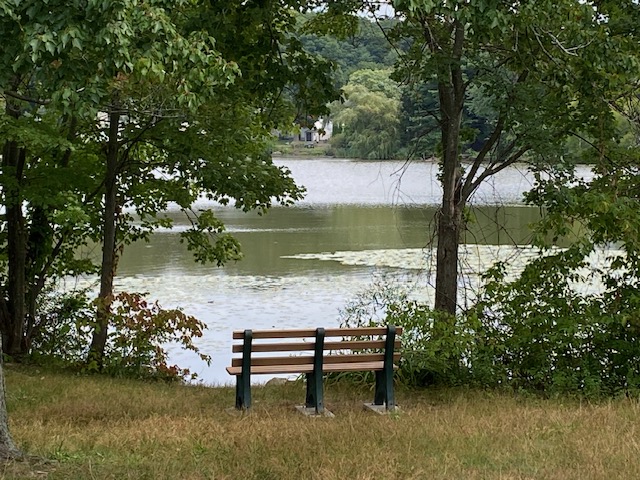 Lakeview Preserve Bench