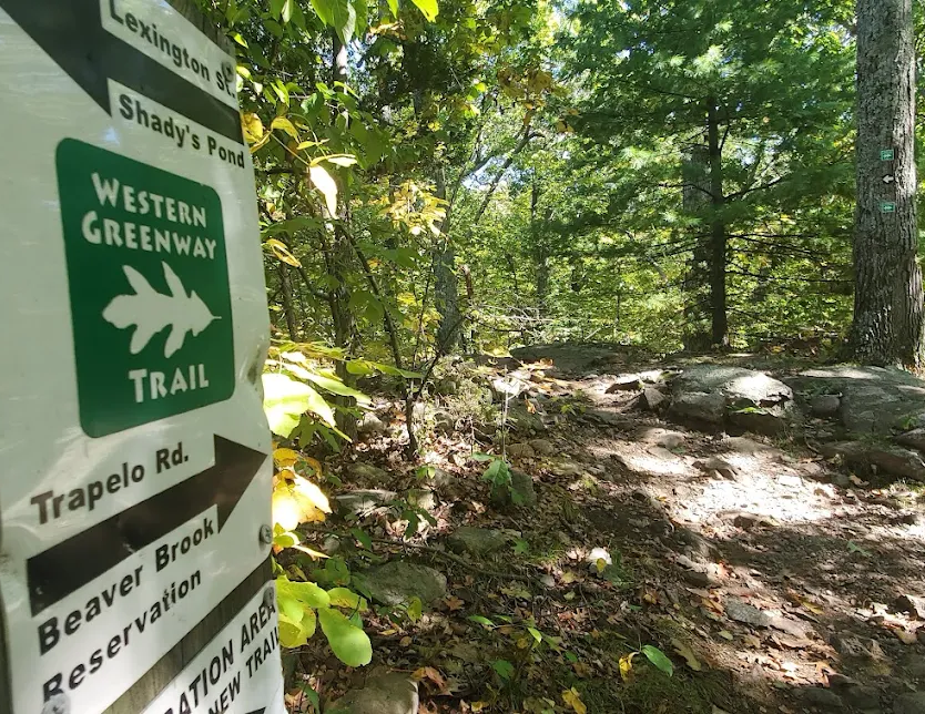 Shady's Pond Trail